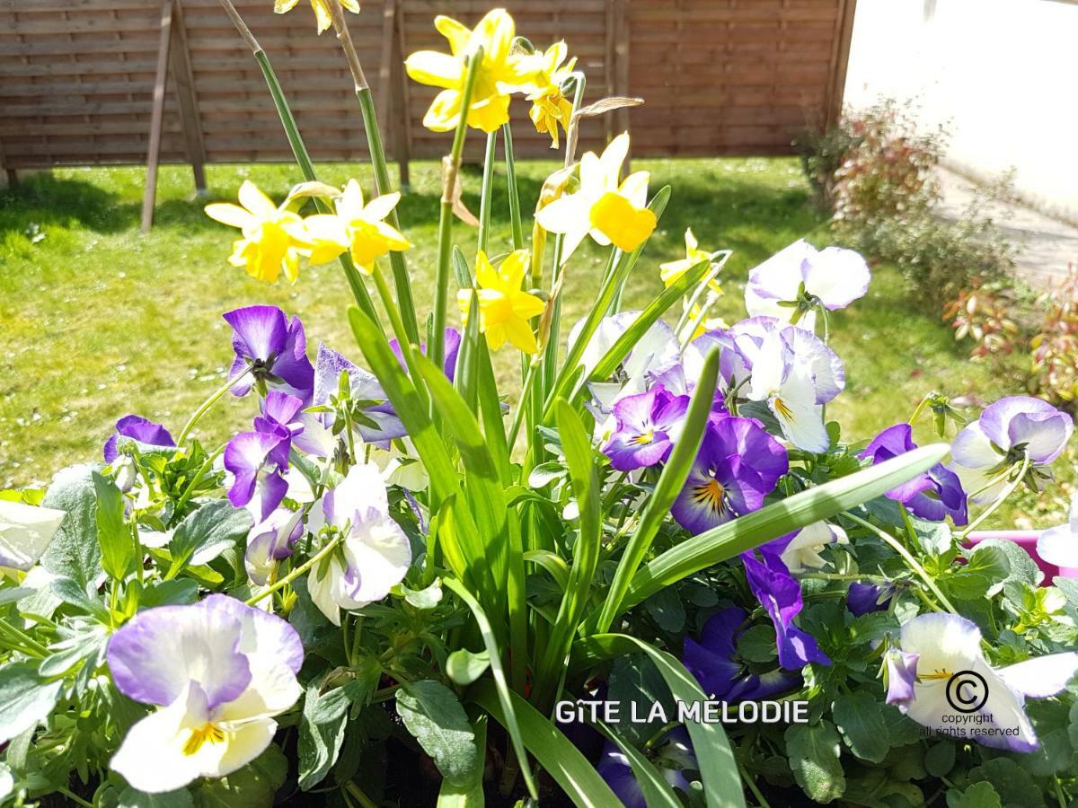 Gite La Melodie Longueville  外观 照片
