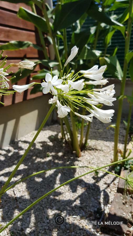 Gite La Melodie Longueville  外观 照片